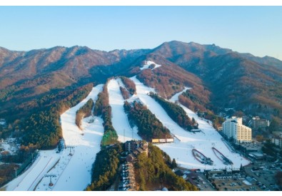 베어스타운스키장